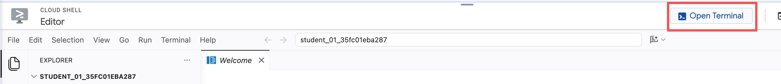 编辑器右上角的 Open Terminal 按钮